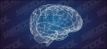3D model of the brain-style vector material