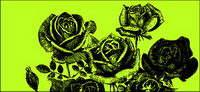 Pen painting style roses vector material