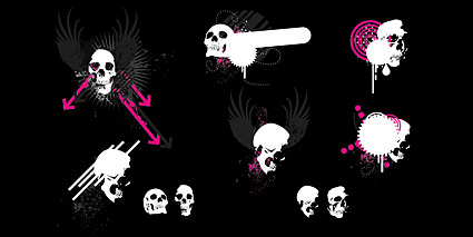 Skull and wings